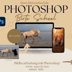 Photoshop Kurs / webinar 2023 Bildbearbeitung erklärt / Tutorial m. Werkzeugen, Masken usw.  erklärt für Pferdefotografie / Pferdefotografen / Tierfotografen / Fotografen